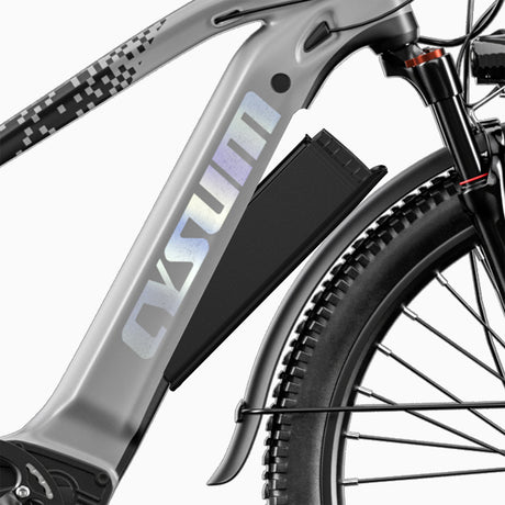 Speedy E-bike Spare battery 48V 14Ah