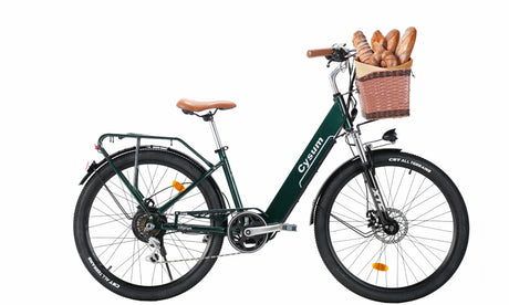 Cityrun 26" City Electric Bike, 40Nm Commuter Bike, 36V 10Ah Li-Battery City eBike - Rich Bit eBike