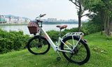 Cityrun 26" City Electric Bike, 40Nm Commuter Bike, 36V 10Ah Li-Battery City eBike