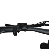BAOLUJIE DP-2603 Plus 3000W 32Ah 52V Full Suspension Fat Electric Bike Rich Bit eBike