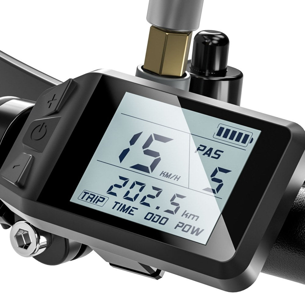 Describes the appearance of the image