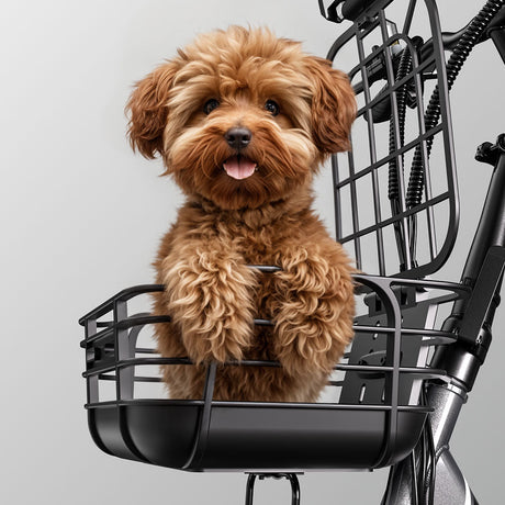 CYSUM T1 Pro Foldable Electric Tricycle, Three-wheeled Electric Bicycle, 16*2.3" Integrated wheels, Li-battery 48V 22Ah, Large Capacity Rear Rack Rich Bit eBike
