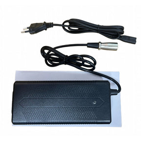 Smart Charger 48V for RIch Bit V9 Ultra Electric Eike Rich Bit eBike