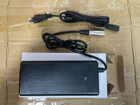 Smart Charger 48V for RIch Bit V9 Ultra Electric Eike Rich Bit eBike