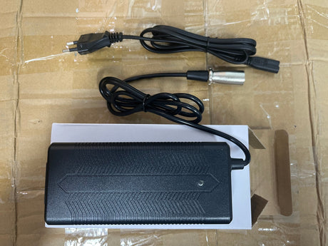 Smart Charger 48V for RIch Bit V9 Ultra Electric Eike Rich Bit eBike