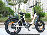 BAOLUJIE DZ-2030 Foldable Fat Electric Bike 20inch | 48v 500w rear hub | Disc Brake | 13Ah lithium battery