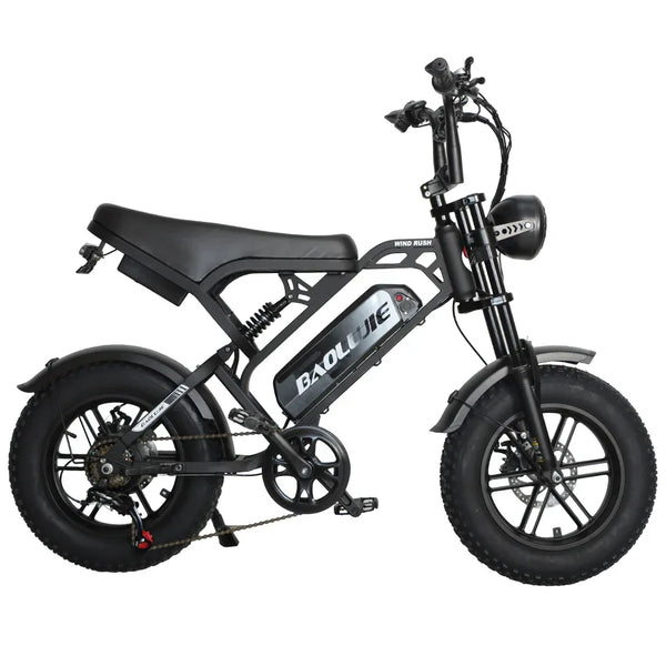BAOLUJIE F2 Full Suspension Mini E-Bike 16x4.0 inch 45KMH | 48v 500w | Disc Brake | 13Ah portable battery - Rich Bit eBike