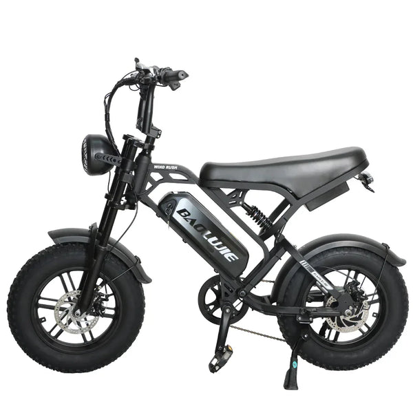 BAOLUJIE F2 Full Suspension Mini E-Bike 16x4.0 inch 45KMH | 48v 500w | Disc Brake | 13Ah portable battery - Rich Bit eBike