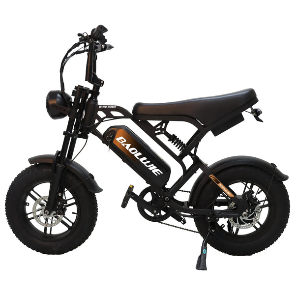 BAOLUJIE F2 Full Suspension Mini E-Bike 16x4.0 inch 45KMH | 48v 500w | Disc Brake | 13Ah portable battery - Rich Bit eBike