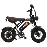 BAOLUJIE F2 Full Suspension Mini E-Bike 16x4.0 inch 45KMH | 48v 500w | Disc Brake | 13Ah portable battery