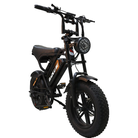 BAOLUJIE F2 Full Suspension Mini E-Bike 16x4.0 inch 45KMH | 48v 500w | Disc Brake | 13Ah portable battery - Rich Bit eBike