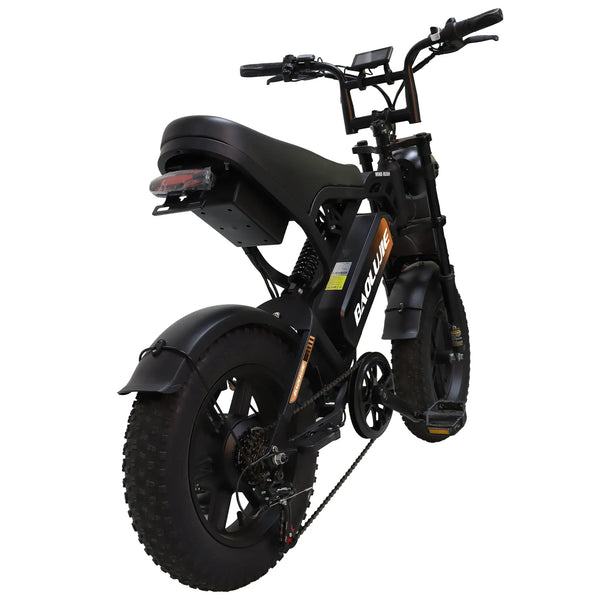 BAOLUJIE F2 Full Suspension Mini E-Bike 16x4.0 inch 45KMH | 48v 500w | Disc Brake | 13Ah portable battery - Rich Bit eBike