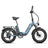 Fafrees FF20 Polar 860W Peak 26.8Ah Dual Battery Foldable Fat e Bike Rich Bit eBike