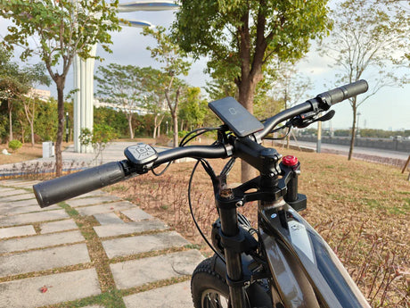LANKELEISI MG800 Max Fat e Bike 26inch 48KMH | 48v 2000w dual motor | Hydraulic Disc Brake | Samsung 20Ah portable battery - Rich Bit eBike