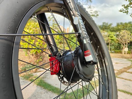 LANKELEISI MG800 Max Fat e Bike 26inch 48KMH | 48v 2000w dual motor | Hydraulic Disc Brake | Samsung 20Ah portable battery - Rich Bit eBike