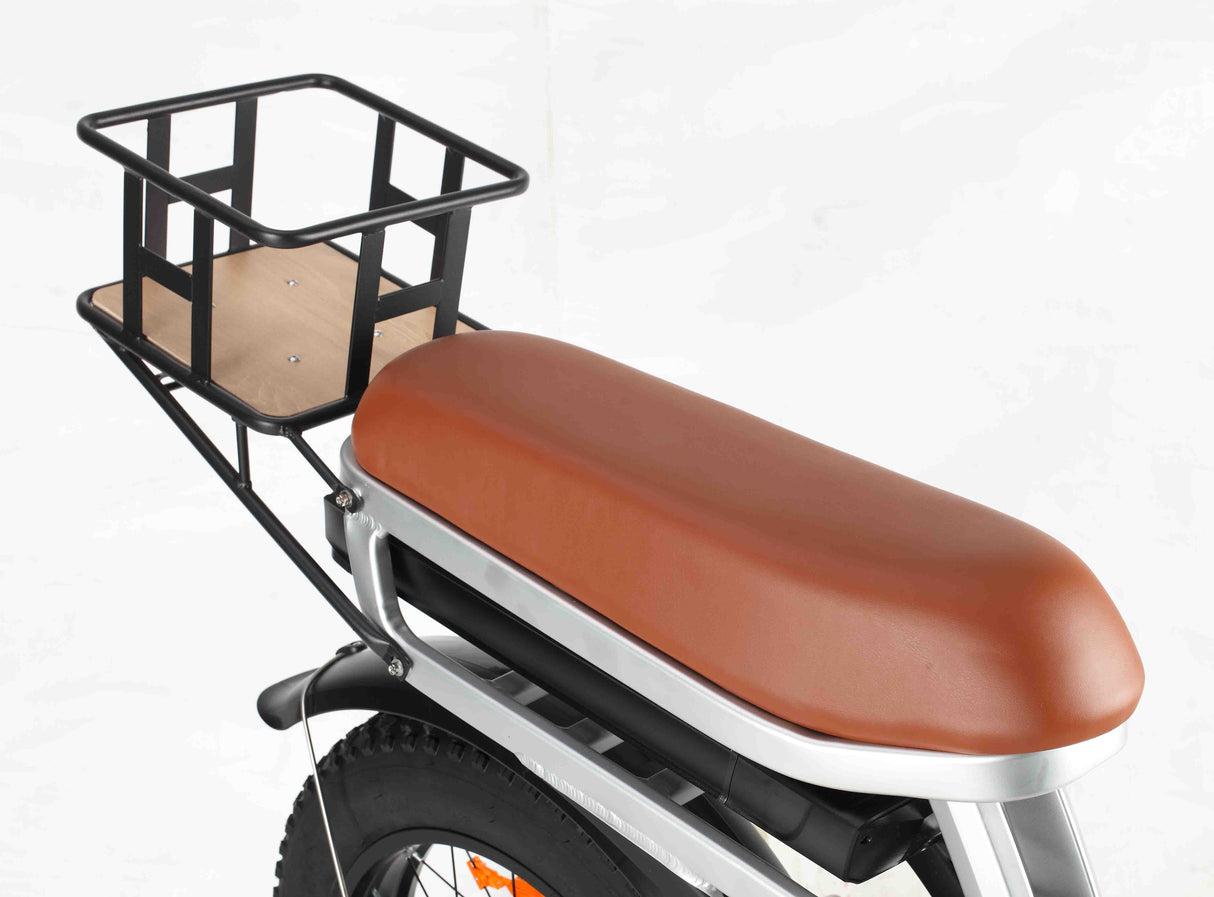 BAOLUJIE DP-2033 Fat Electric Bike 20inch | 48v 2000w dual motor | Hydraulic Disc Brake | 30Ah dual battery