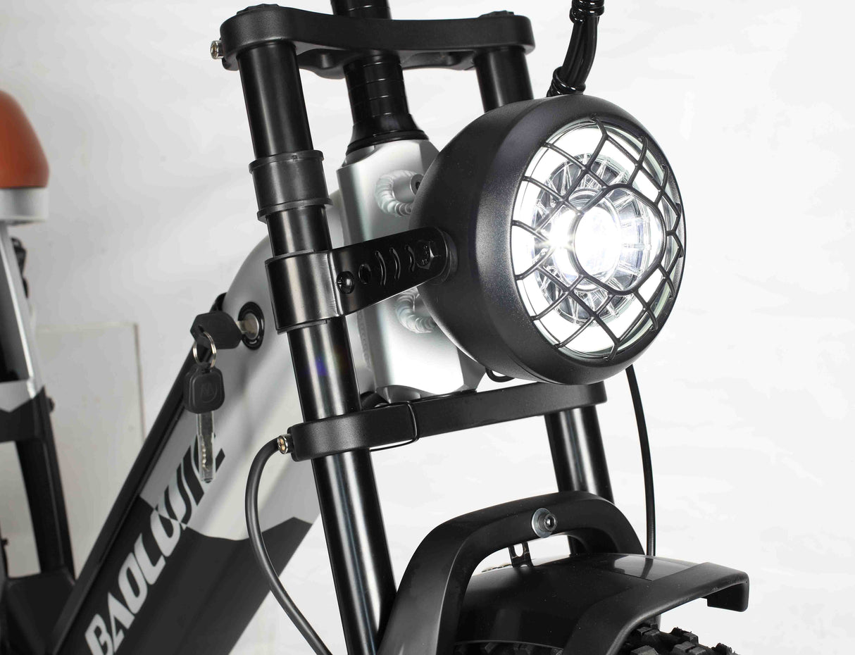 BAOLUJIE DP-2033 Fat Electric Bike 20inch | 48v 2000w dual motor | Hydraulic Disc Brake | 30Ah dual battery