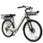 PIXAR C1 Adult Electric City Bike with Rear Rack & Fenders 36V 13Ah E-Bike Unisex Commute Bicycle Shimano 7 Speed Rich Bit eBike