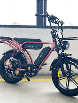 PIXAR M9 Dual Battery Electric Bike | 48V 35Ah Long Range | 250W High Speed Motor | 20" Fat Tire All-Terrain E-Bike Rich Bit eBike
