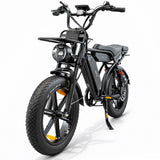 PIXAR M9 Dual Battery Electric Bike | 48V 35Ah Long Range | 250W High Speed Motor | 20" Fat Tire All-Terrain E-Bike Rich Bit eBike