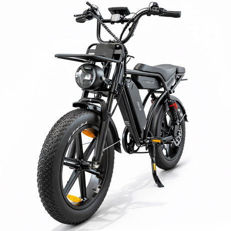 PIXAR M9 Dual Battery Electric Bike | 48V 35Ah Long Range | 250W High Speed Motor | 20" Fat Tire All-Terrain E-Bike Rich Bit eBike