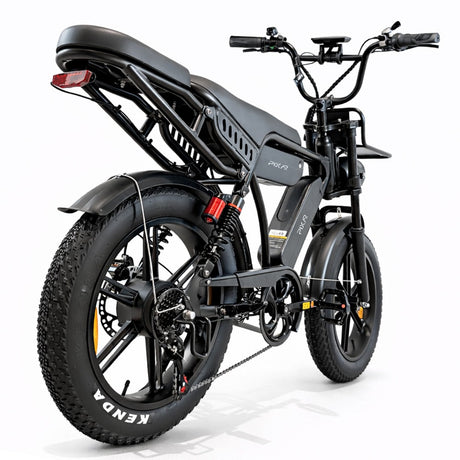 PIXAR M9 Dual Battery Electric Bike | 48V 35Ah Long Range | 250W High Speed Motor | 20" Fat Tire All-Terrain E-Bike Rich Bit eBike