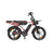 PIXAR M9 Dual Battery Electric Bike | 48V 35Ah Long Range | 250W High Speed Motor | 20" Fat Tire All-Terrain E-Bike Rich Bit eBike