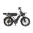 PIXAR M9 Dual Battery Electric Bike | 48V 35Ah Long Range | 250W High Speed Motor | 20" Fat Tire All-Terrain E-Bike Rich Bit eBike