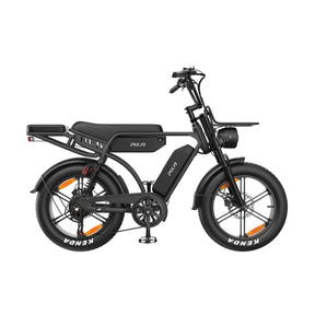 PIXAR M9 Dual Battery Electric Bike | 48V 35Ah Long Range | 250W High Speed Motor | 20" Fat Tire All-Terrain E-Bike Rich Bit eBike