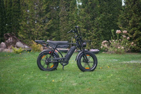 PIXAR M9 Dual Battery Electric Bike | 48V 35Ah Long Range | 250W High Speed Motor | 20" Fat Tire All-Terrain E-Bike Rich Bit eBike
