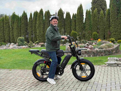 PIXAR M9 Dual Battery Electric Bike | 48V 35Ah Long Range | 250W High Speed Motor | 20" Fat Tire All-Terrain E-Bike Rich Bit eBike
