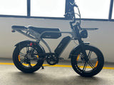 PIXAR M9 Dual Battery Electric Bike | 48V 35Ah Long Range | 250W High Speed Motor | 20" Fat Tire All-Terrain E-Bike Rich Bit eBike