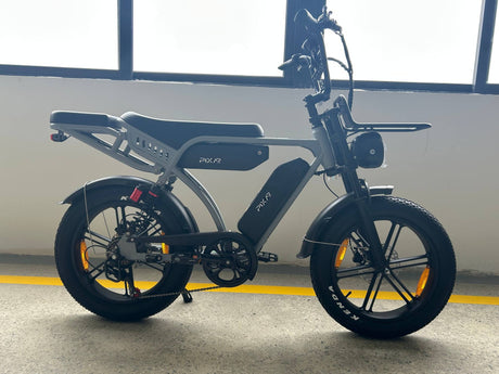 PIXAR M9 Dual Battery Electric Bike | 48V 35Ah Long Range | 250W High Speed Motor | 20" Fat Tire All-Terrain E-Bike Rich Bit eBike