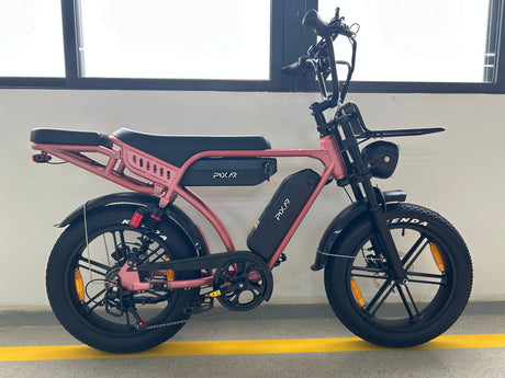 PIXAR M9 Dual Battery Electric Bike | 48V 35Ah Long Range | 250W High Speed Motor | 20" Fat Tire All-Terrain E-Bike Rich Bit eBike
