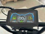 PIXAR M9 Dual Battery Electric Bike | 48V 35Ah Long Range | 250W High Speed Motor | 20" Fat Tire All-Terrain E-Bike Rich Bit eBike