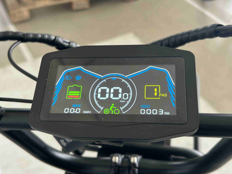 PIXAR M9 Dual Battery Electric Bike | 48V 35Ah Long Range | 250W High Speed Motor | 20" Fat Tire All-Terrain E-Bike Rich Bit eBike