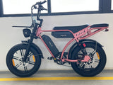 PIXAR M9 Dual Battery Electric Bike | 48V 35Ah Long Range | 250W High Speed Motor | 20" Fat Tire All-Terrain E-Bike Rich Bit eBike