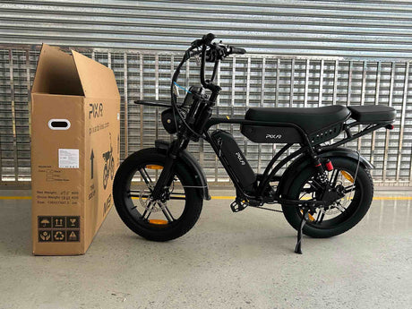 PIXAR M9 Dual Battery Electric Bike | 48V 35Ah Long Range | 250W High Speed Motor | 20" Fat Tire All-Terrain E-Bike Rich Bit eBike