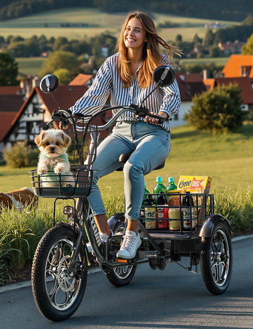 Describes the appearance of the image