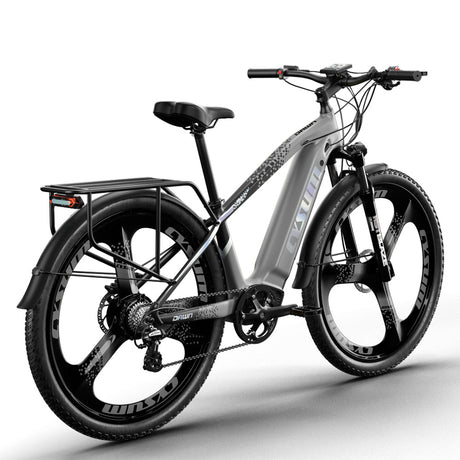 CYSUM Speedy M520 500W 48V 14Ah 29 Inch Mountain Electric Bike Rich Bit eBike