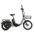 CYSUM AG1 Folding Electric Tricycle | 750W Motor & 48V 20Ah Removable Lithium Battery | Step-Through E-Trike with Hydraulic Disc Brakes, Speed Differential System, NFC LCD Display Rich Bit eBike