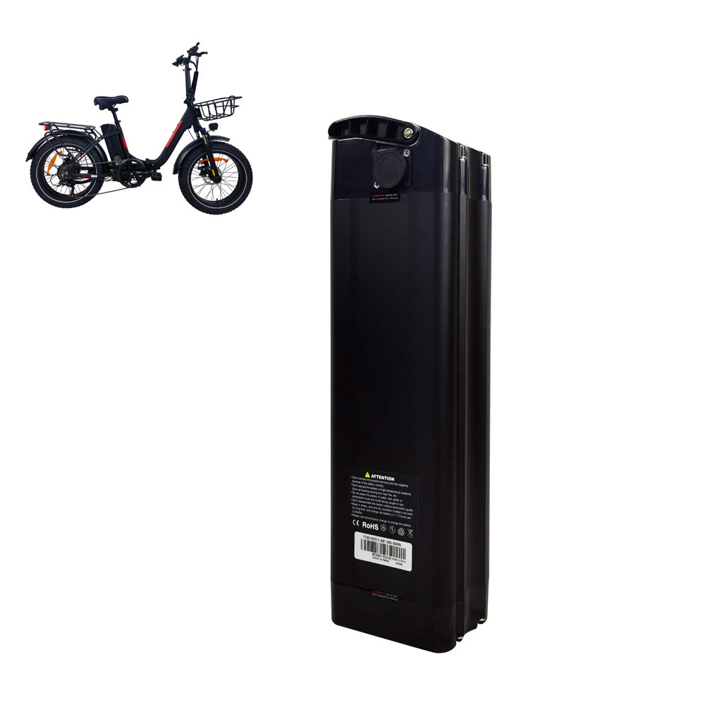 DZ-2030 E-bike Spare battery 48V 13Ah RICH BIT EBIKE OFFICIAL STORE