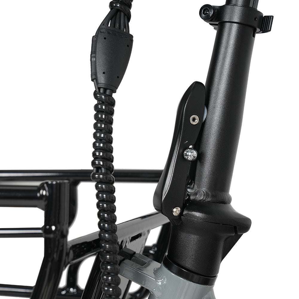 CYSUM AG1 Folding Electric Tricycle | 750W Motor & 48V 20Ah Removable Lithium Battery | Step-Through E-Trike with Hydraulic Disc Brakes, Speed Differential System, NFC LCD Display Rich Bit eBike