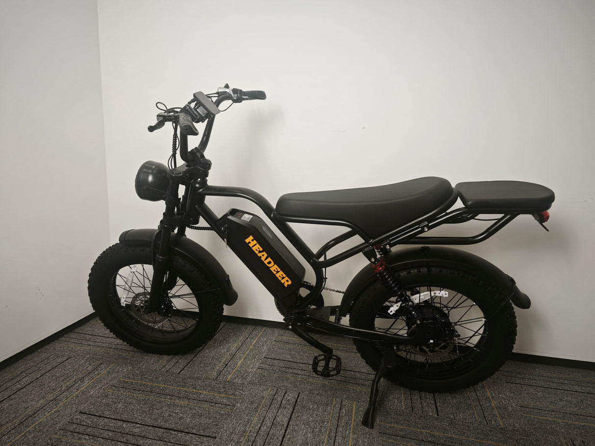 Headeer BK20 Full Suspension 20 Inch Fat e Bike Rich Bit eBike