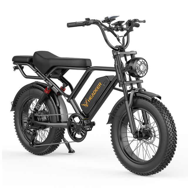 Headeer BK20 Full Suspension 20 Inch Fat e Bike Rich Bit eBike