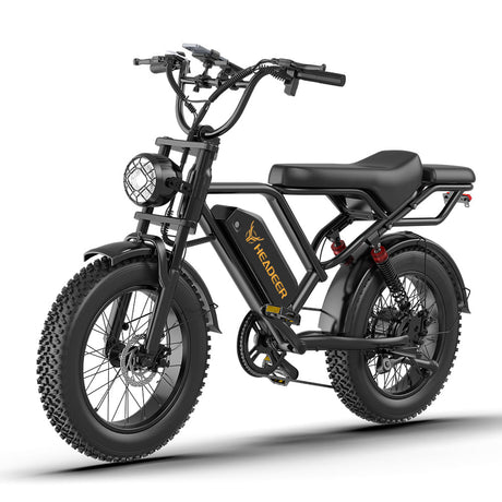 Headeer BK20 Full Suspension 20 Inch Fat e Bike Rich Bit eBike