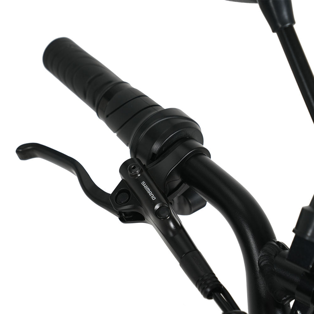 CYSUM AG1 Folding Electric Tricycle | 750W Motor & 48V 20Ah Removable Lithium Battery | Step-Through E-Trike with Hydraulic Disc Brakes, Speed Differential System, NFC LCD Display Rich Bit eBike