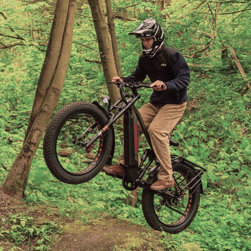 Lankeleisi Silvertip 8 Long Rang All Terrain Fat e Bike Rich Bit eBike
