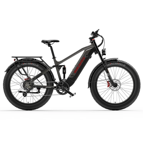 Lankeleisi Silvertip 8 Long Rang All Terrain Fat e Bike Rich Bit eBike