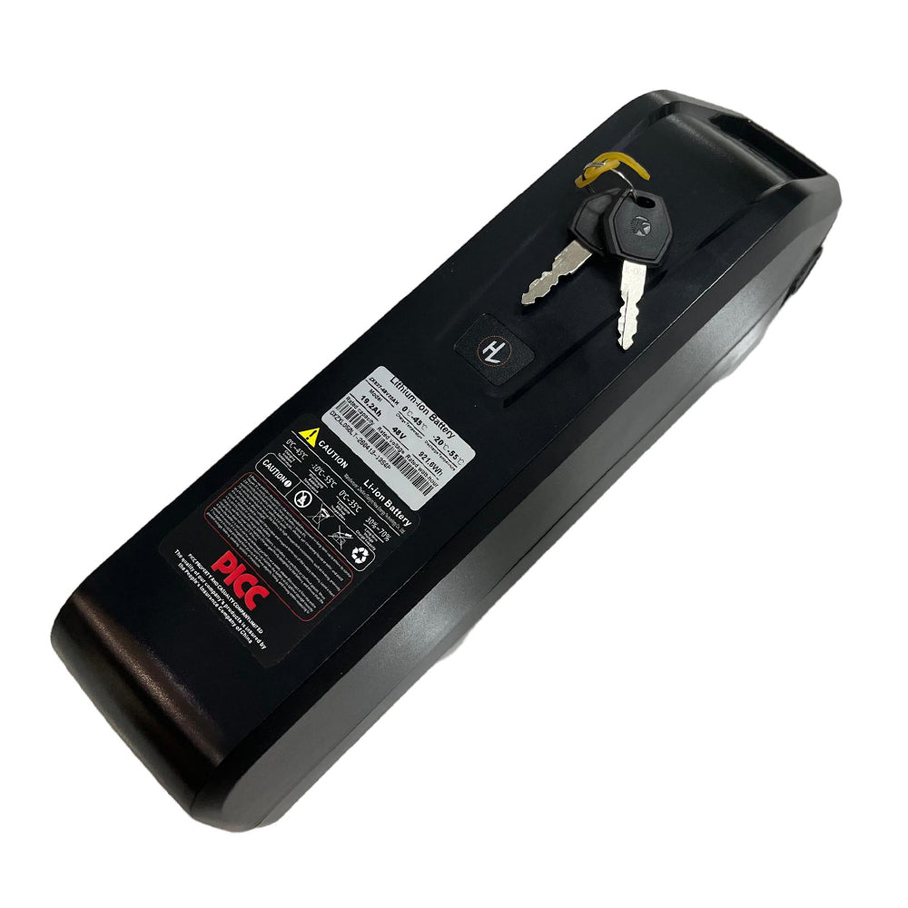 Lithium Battery 48v 20Ah LG Removable for Cysum AG1 Pro Electric Tricycle Rich Bit eBike